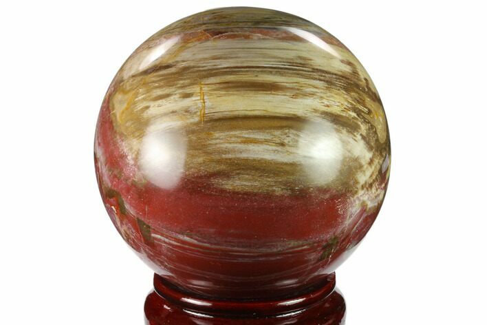 Colorful Petrified Wood Sphere - Madagascar #133864